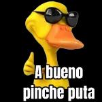 TE AMO