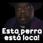 Esta perraestá loca!