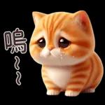 呆萌小橘猫