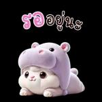 แมวฮิปโปสุดน่ารัก : คุยกันทุกวัน(BIG)