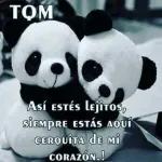 Lovely stickers only for you 🎁