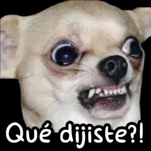 Qué dijiste?! - getsticker.com