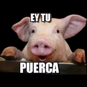 EY TU PUERCA - getsticker.com