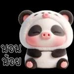 หมูแพนด้าน่ารักจังเลย