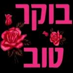 הורדה חינם, עדכונים יומיים, אין צורך בכניסה