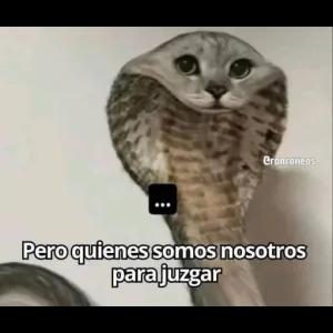 Pero quienes somos nosotros para juzgar - getsticker.com