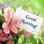 good morning