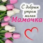 by jj
