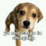 que que que?