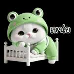 ข้าวต้ม ชุดกบ หน้าบูด