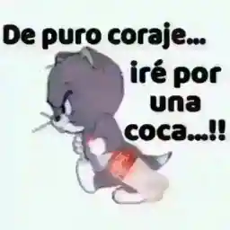 KvpTAv
