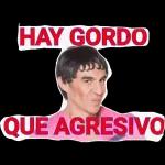 QUE LINDO ES SER PERONISTA NACION
