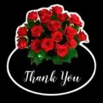 Flowers only for you💐💐💐