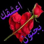 اعشقك بجنون