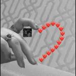 DIRக666ம்
DIRக666ம்
1444