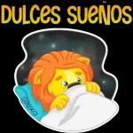 buenas noches 