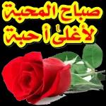 ال
عاليات
ww