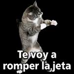 sbaewhorx *Hora de pelear