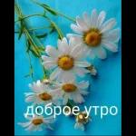 by jj