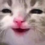 it's Monday!!!!😩😩😩😩