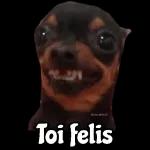 FINALES FELICES