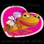 Gute Nacht 🌹