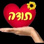 💐 שבת שלום 💐