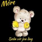 Môre Seën vir jou dag