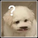 Waalaikumussalam Warahmatullahi Wabarakatuh