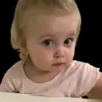 funny memes