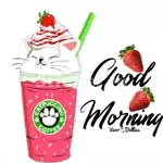 morning movido 3!