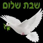 שבת שלום