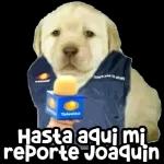 mis stiker