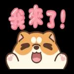 米犬日常 - 冬至篇