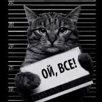 Удачного дня