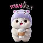 แมวฮิปโปสุดน่ารัก : คุยกันทุกวัน(BIG)