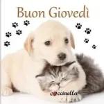 buon giovedì