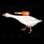 Альбина Багаева