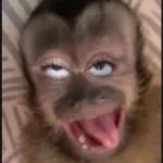 Nadando en tus mentiras