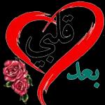 شوشو ٦٦