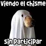 Cálmate we