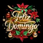 Feliz Domingo