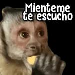 @paraguayita_01 www. Y la queso