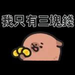 小水豚們的熱血應援