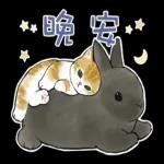 萌宠sticker 01083 🥰