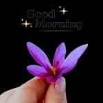 good morning