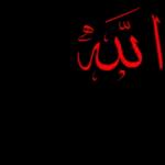ماشاء الله تبارك الله