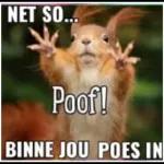 goeie goed