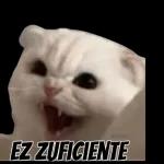 ¿Qué me ves, te gusto?