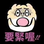 博美狗AB-不正经动起来